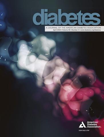 what is type 2 diabetes journal article