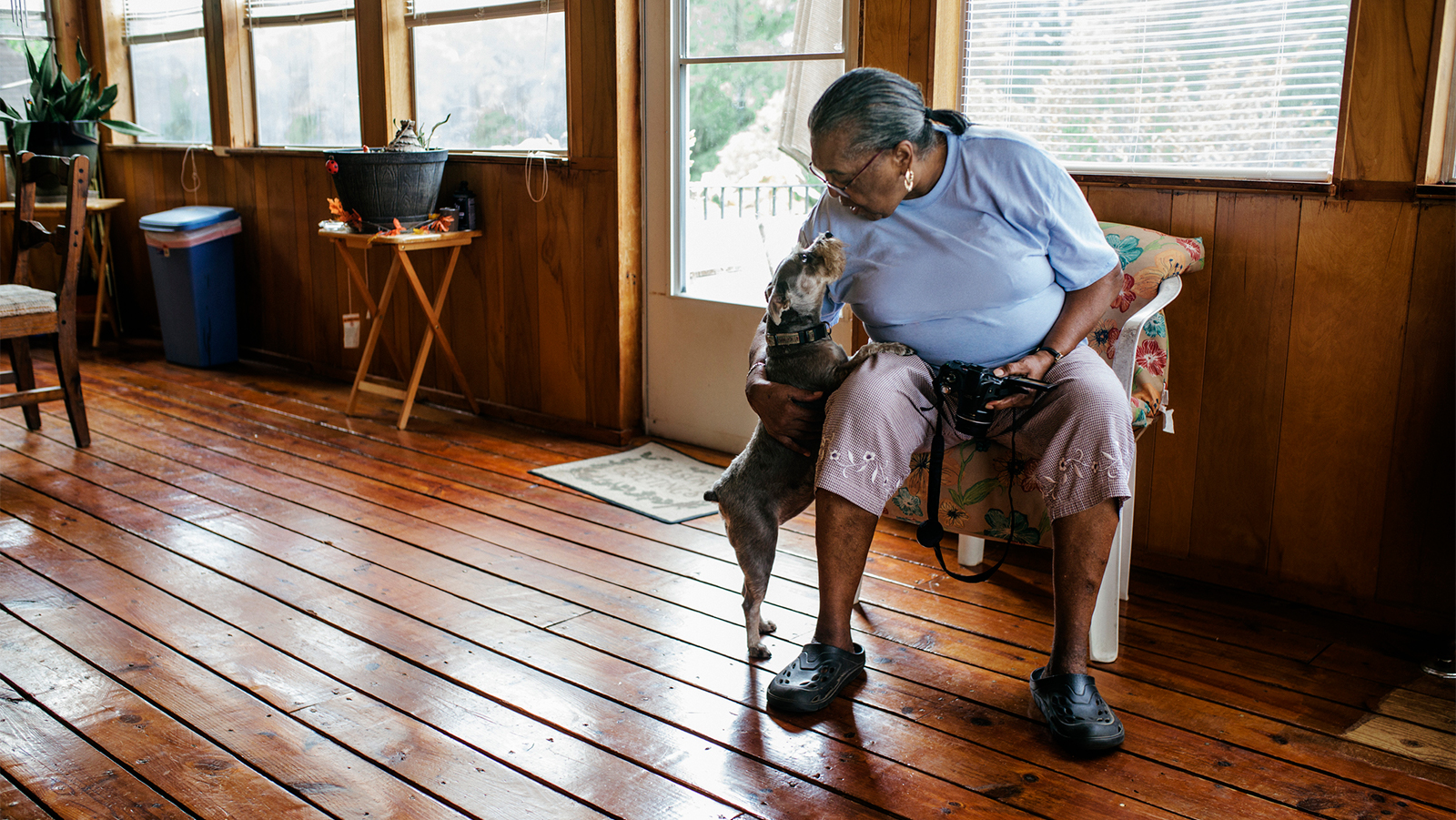 woman sitting in chair petting dog